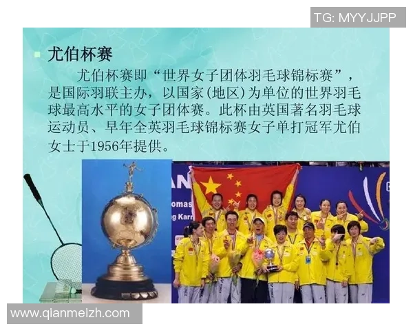 南京羽毛球队杯赛战术分析与表现评估探讨